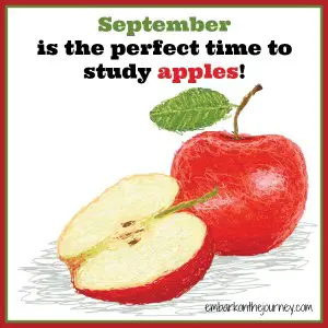 September is for studying apples.
