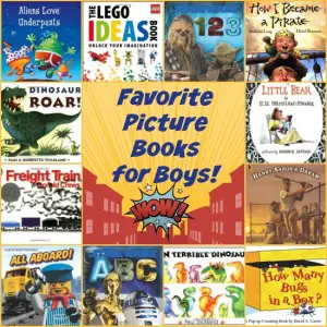 25 Favorite Picture Books for Boys | embarkonthejourney.com