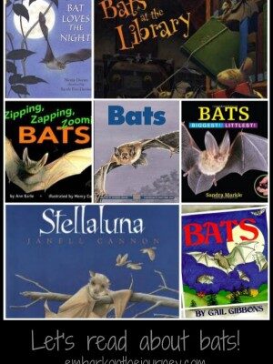 Let’s Learn About Bats!