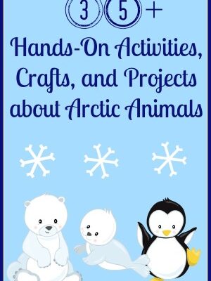 Arctic Animals Activities, Crafts, and Projects | embarkonthejourney.com