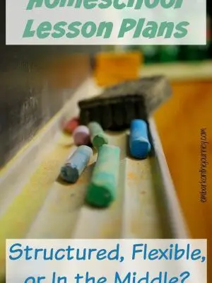 Homeschool Lesson Plans: Should they be structured, flexible, or somewhere in the middle? | embarkonthejourney.com