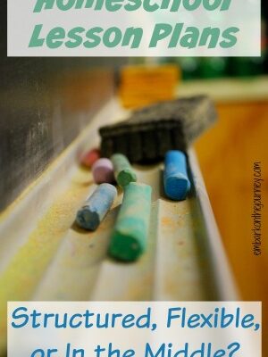 Homeschool Lesson Plans: Structure or Flexiblity?