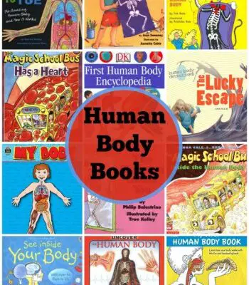 Human Body Books for Kids