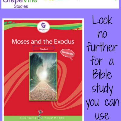 Grapevine Studies: Family-Friendly Bible Study {A Review}