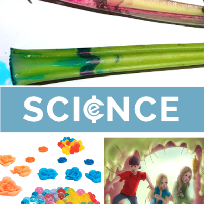 Check out these science experiments, science freebies, and science books that will make back-to-school fun for everyone. | embarkonthejourney.com