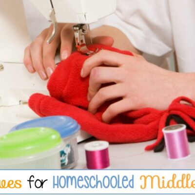 3 Fun Homeschool Electives for Middle School