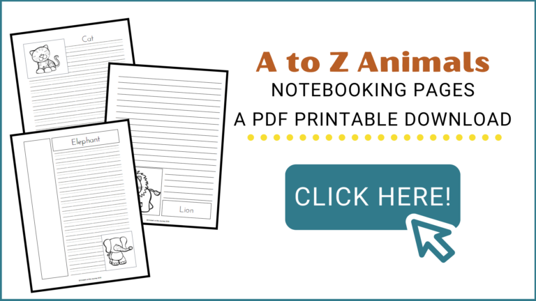 Animal Notebooking Pages