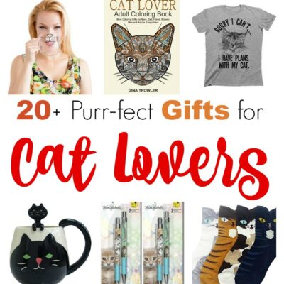Oh my goodness! Check out more than 20 gifts that are purr-fect for cat lovers! These ideas will make holiday shopping so easy! | embarkonthejourney.com