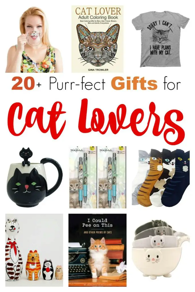 20+ Purrfect Gifts for Cat Lovers