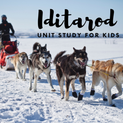 Here is the ultimate list of Iditarod unit study resources! It covers Alaska, the Great Serum Race, the Iditarod, sled dogs, mushers, and more!