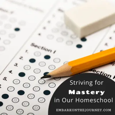 Striving for Mastery In Our Homeschool