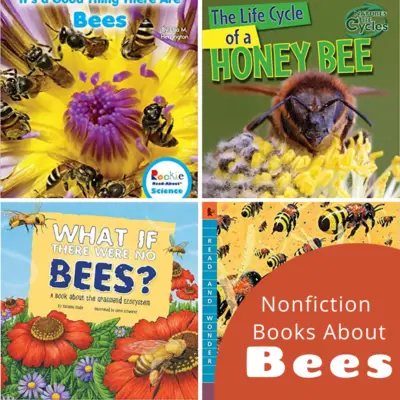 Nonfiction Books About Bees