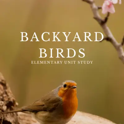 Backyard Birds Unit Study