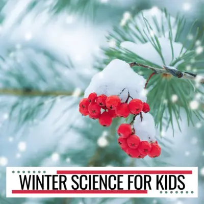 Winter Science Activities