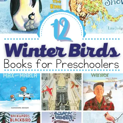 Winter Bird Books for Preschoolers