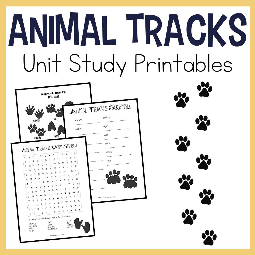 Animal Tracks Activities For Kids