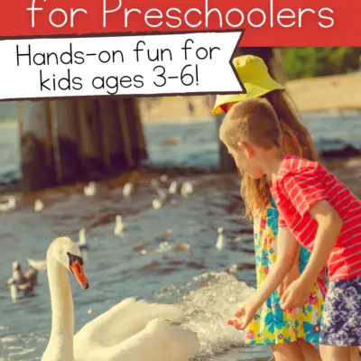 Bird Activities for Preschoolers