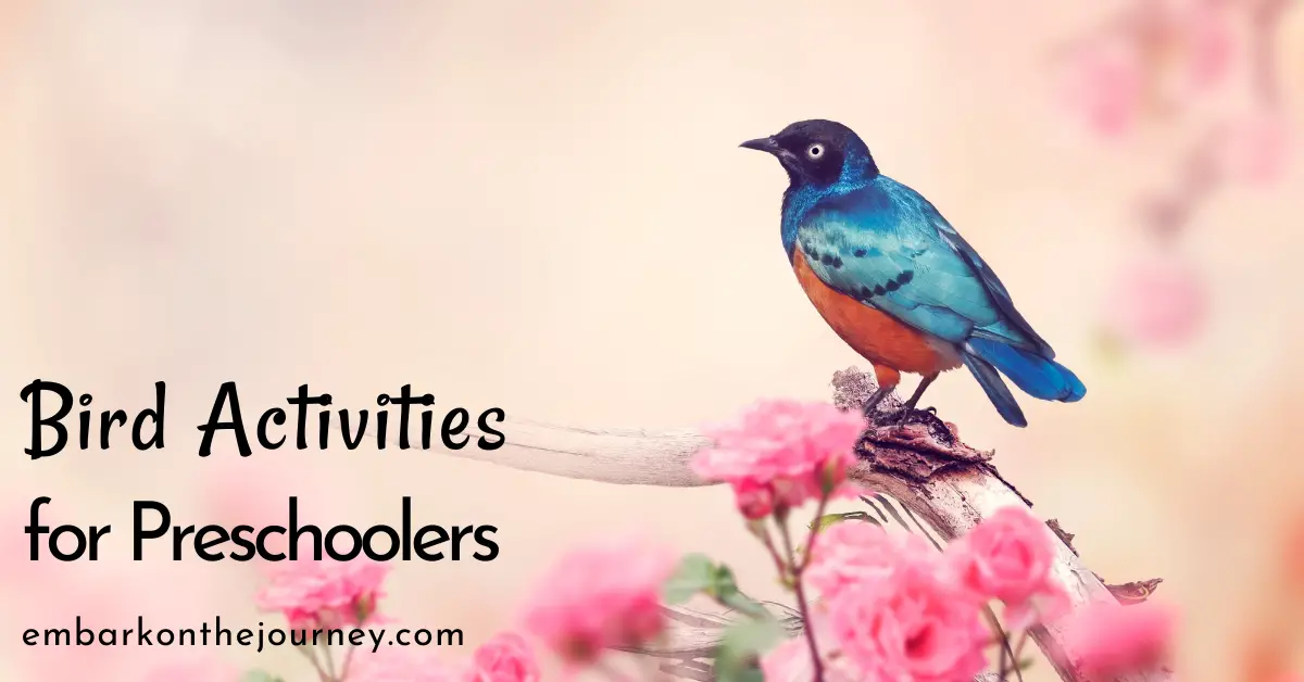 Hands-On Bird Activities for Preschoolers