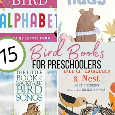 Bird Books for Preschoolers