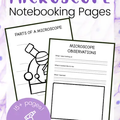 Microscope Notebooking Pages