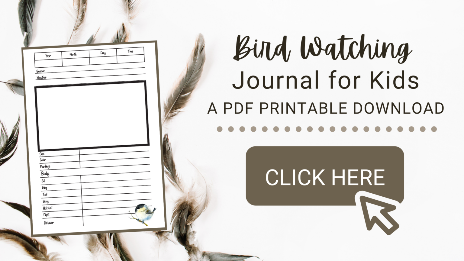 Printable Bird Watching Journal