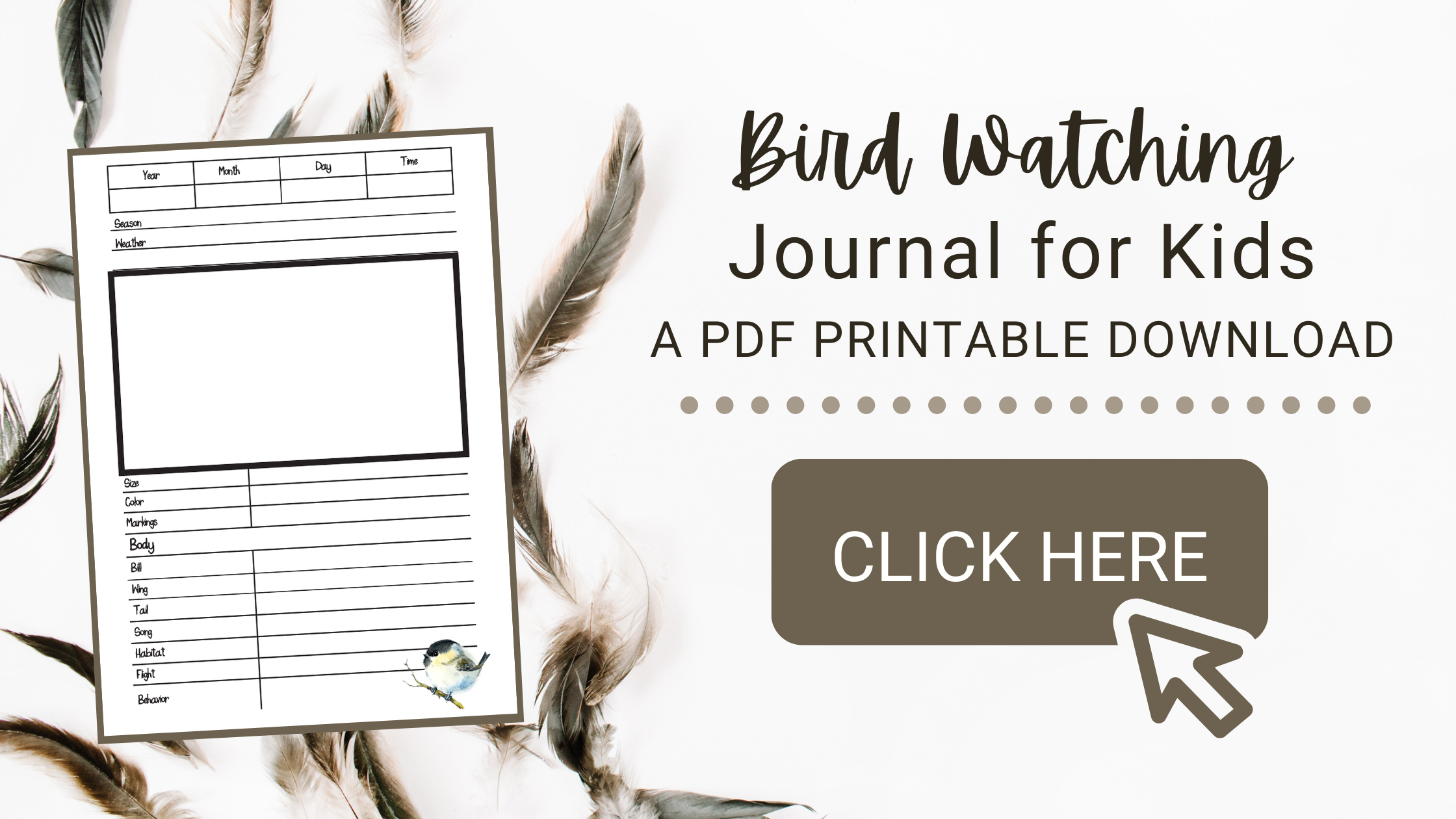 printable-bird-watching-journal