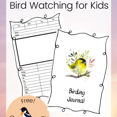 Printable Bird Watching Journal