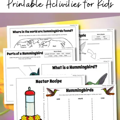 Hummingbird Activities for Kids